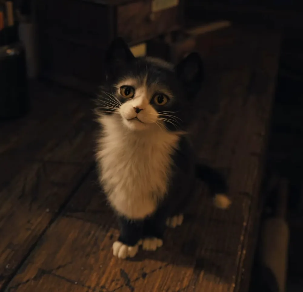 Pinocchio gallery image