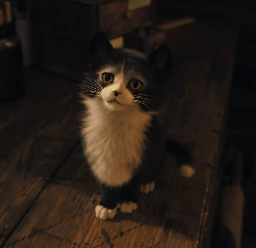 Pinocchio gallery image