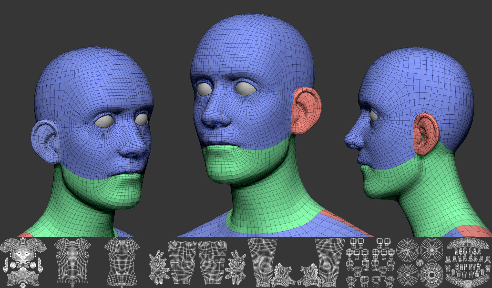 Default Human - Base Mesh